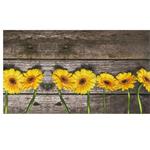 PASSATOIA JOKE PARQUET SUNFLOWER m 24 h 0,50 OLIVO