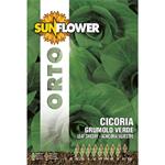 SEMENTI CICORIA GRUMULO VERDE            SUNFLOWER