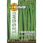 SEMENTI FAGIOLO NANO SLENDERETTE         SUNFLOWER