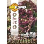 SEMENTI LATTUGA QUATTRO STAGIONI         SUNFLOWER